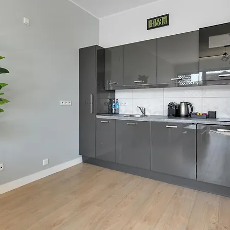 公寓 Symfonia Amazing River View By Downtown 格但斯克